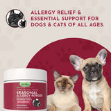 Seasonal Allergy Powder + Quercetin | Allergy Support