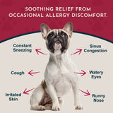 Seasonal Allergy Herbal Tonic | Maintains Normal Histamine Levels