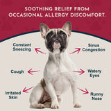 Seasonal Allergy Herbal Tonic | Maintains Normal Histamine Levels