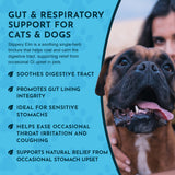 Slippery Elm Herbal Tonic | Supports Gut Health & Respiration