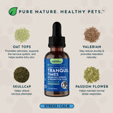 Tranquil Times Herbal Tonic Blend | Stress and Calm