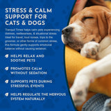 Tranquil Times Herbal Tonic Blend | Stress and Calm