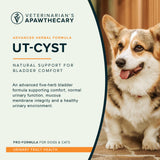 UT-Cyst introductory graphic with a corgi and text describing the five-herb formula's bladder and urinary support.