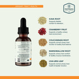 UT-Cyst ingredient graphic with a bottle and images of kava root, cranberry fruit, couchgrass root, marshmallow root and uva-ursi leaf.
