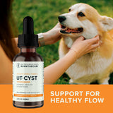 A person pets a corgi outdoors behind a UT-Cyst bottle and the words 'Support for healthy flow.'