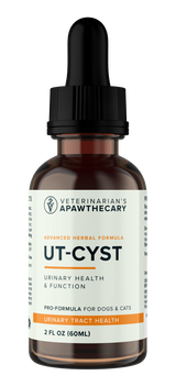 UT-Cyst | Bladder Support