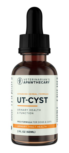 UT-Cyst | Bladder Support