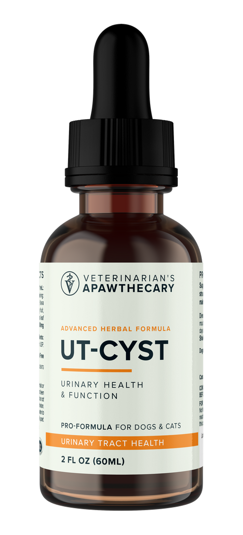 UT-Cyst | Bladder Support