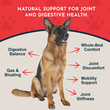 Yucca Herbal Tonic | Maintain Joint Mobility & Digestion
