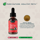 Yucca Herbal Tonic | Maintain Joint Mobility & Digestion