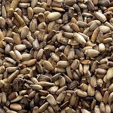 Milk Thistle Seed (Silybum marianum)